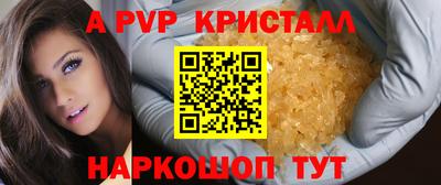 тгк Белореченск