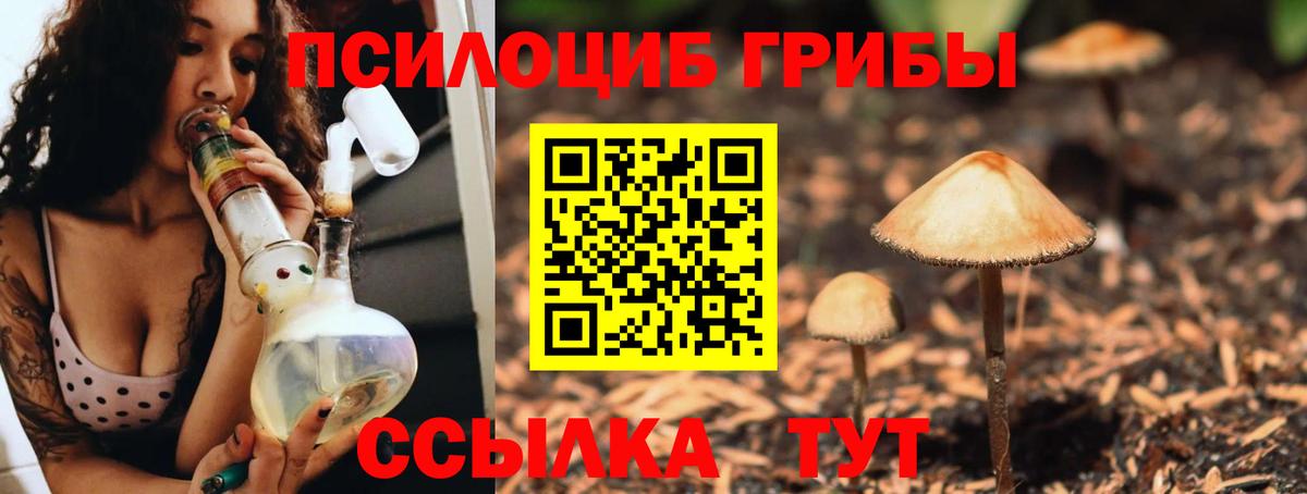 Галлюциногенные грибы Magic Shrooms  Вход с VPN  Городец  Галлюциногенные грибы Cubensis 